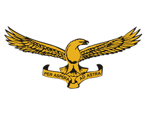 sa-airforce
